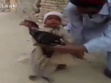 Un niño evita con su llanto que el padre sacrifique a un pavo