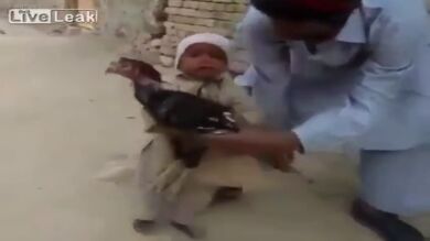 Un niño evita con su llanto que su padre sacrifique a un pavo