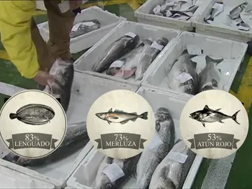 Numerosos restaurantes engañan al cliente con el tipo de lenguado, merluza o atún Numerosos restaurantes engañan al cliente con el tipo de lenguado, merluza o atún