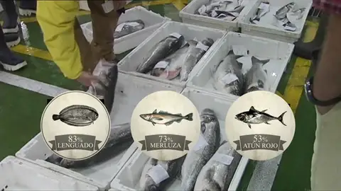 Numerosos restaurantes engañan al cliente con el tipo de lenguado, merluza o atún Numerosos restaurantes engañan al cliente con el tipo de lenguado, merluza o atún