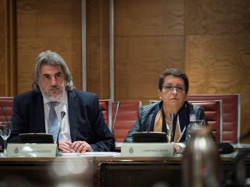 La presidenta de la Plataforma por las Garantías Ciudadanas, Inmaculada Sánchez Ruiz