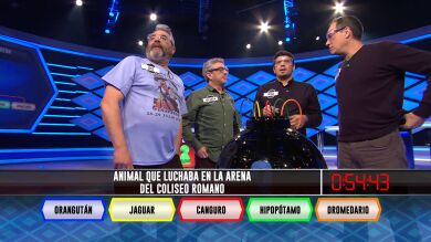 ¿Qué animal luchaba en la arena del Coliseo Romano?