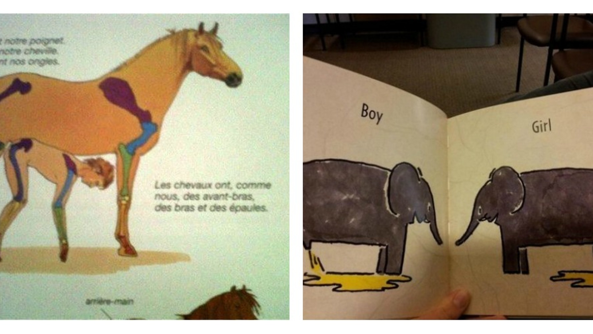 librosimageneswtf.jpg