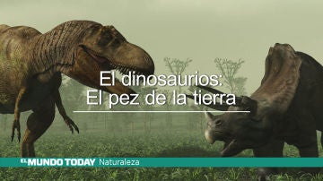 emetdinosauriosok.jpg