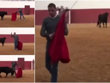Joaquín toreando a una vaquilla Joaquín toreando a una vaquilla