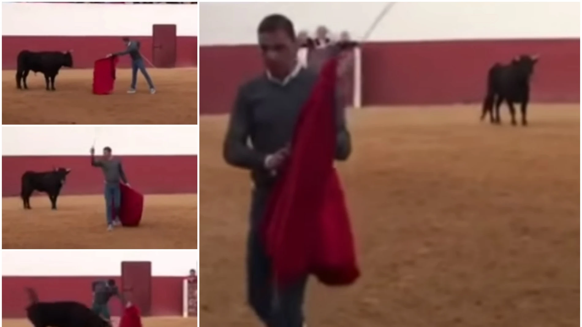 Joaquín toreando a una vaquilla Joaquín toreando a una vaquilla