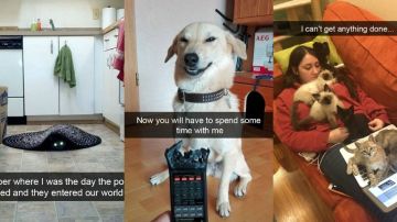 snapchatperrosportada.jpg