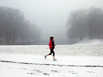 Un parque bruselense nevado Un parque bruselense nevado