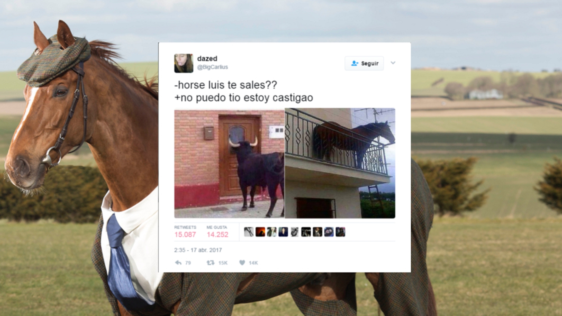 horseluisportada.jpg