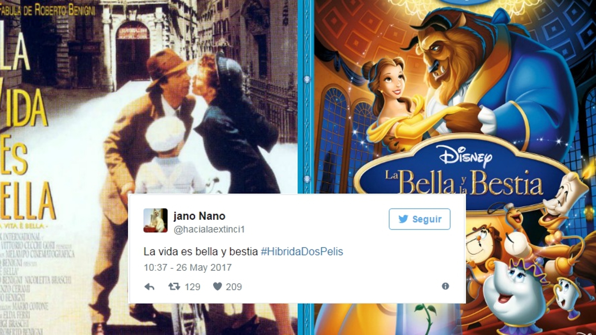 bellaybella2.jpg