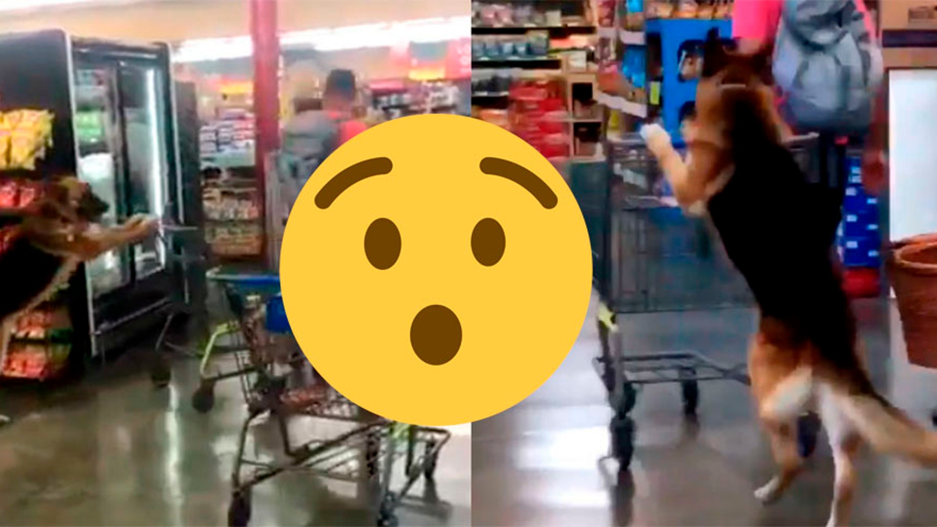 portadaemoji.jpg
