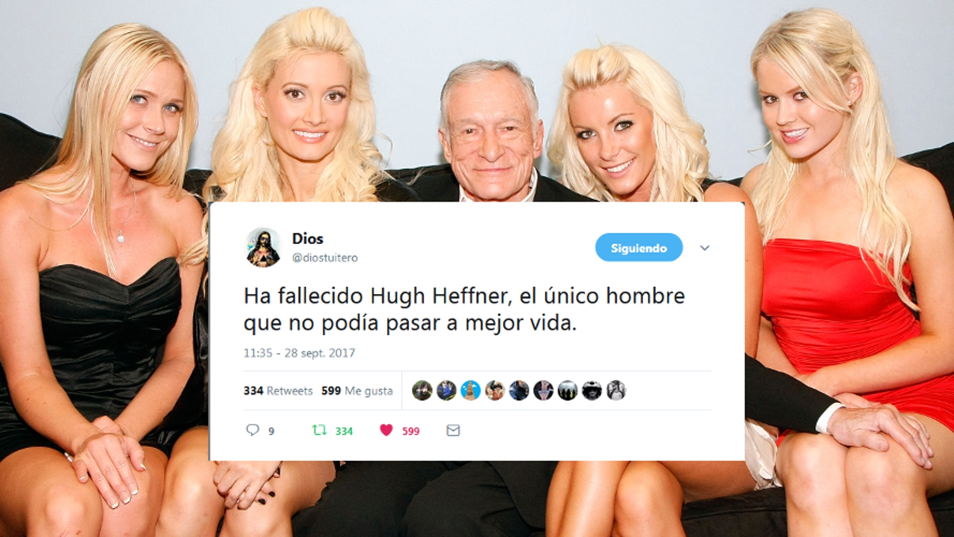tuitshefner.jpg