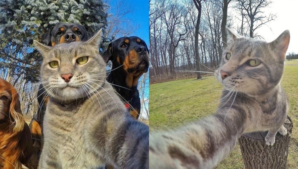 MANNYSELFIE2017.jpg