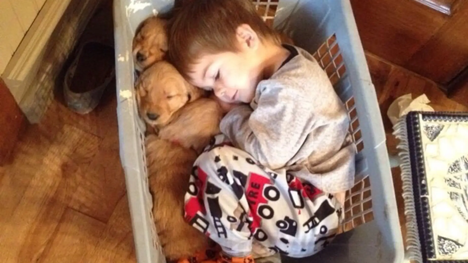 20-fotos-que-demuestran-que-cualquier-nino-debe-crecer-con-un-perro-1507628670.jpg