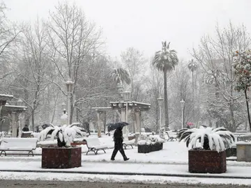 Vista de un parque en la capital vizcaína Vista de un parque en la capital vizcaína