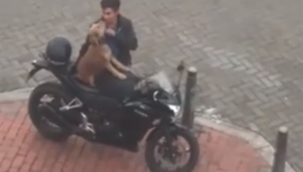 perromotoviajar.jpg