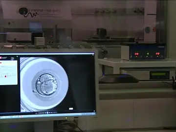 Se inaugura un centro de referencia internacional en reproducción asistida Se inaugura un centro de referencia internacional en reproducción asistida