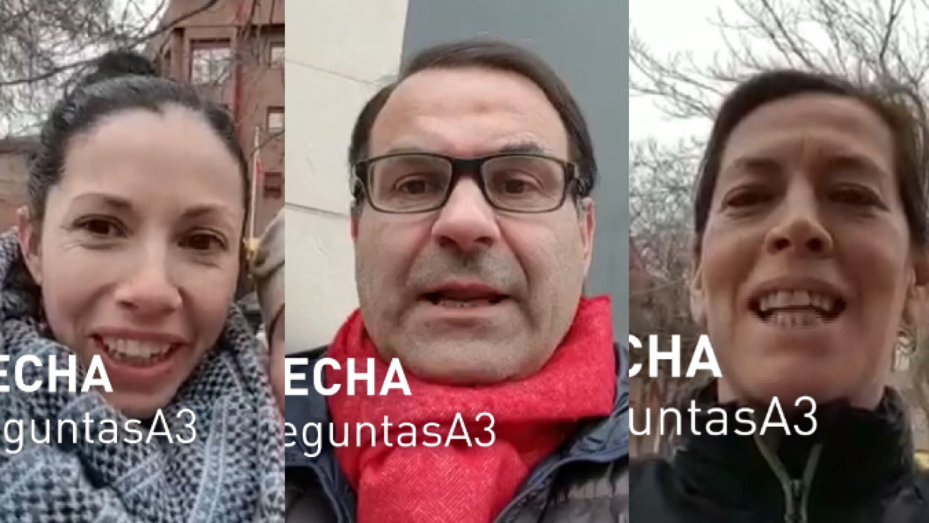 Collage T&uacute; preguntas