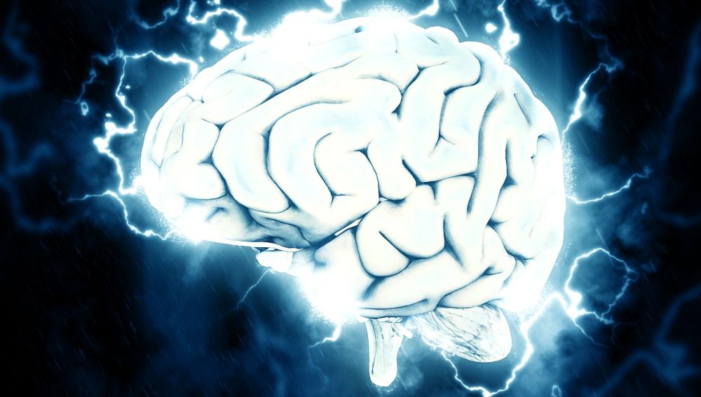 Foto de archivo del cerebro humano