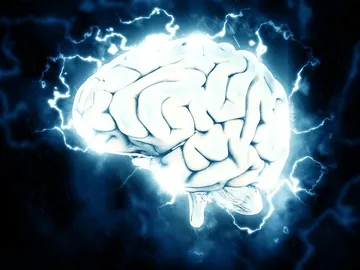 Foto de archivo del cerebro humano Foto de archivo del cerebro humano