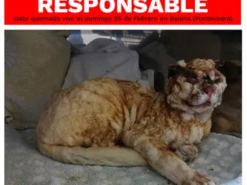 El cartel de recompensa El cartel de recompensa