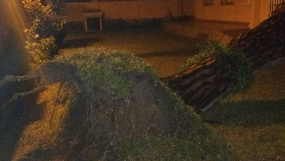 Temporal en Huelva