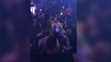 Meten un caballo en una discoteca de Miami