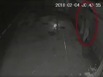Un hombre tira por los aires a una perra embarazada Un hombre tira por los aires a una perra embarazada