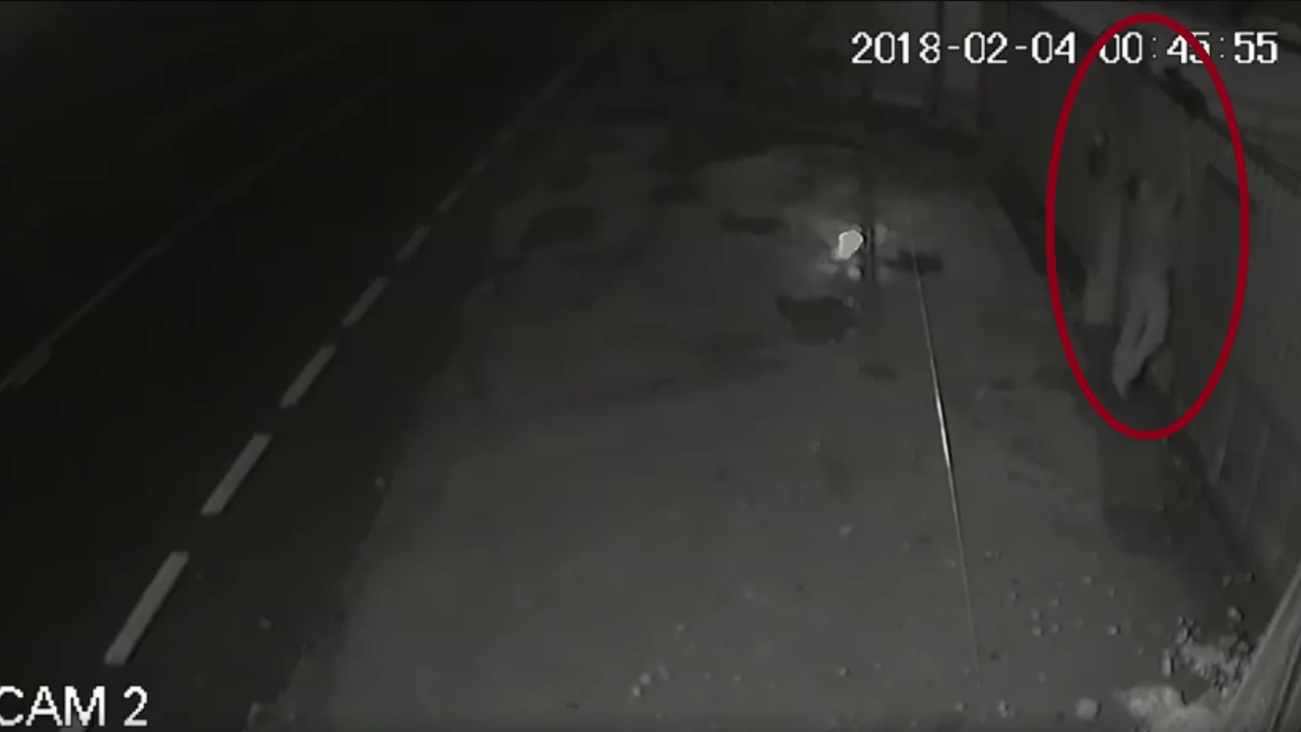 Un hombre tira por los aires a una perra embarazada Un hombre tira por los aires a una perra embarazada