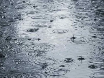 "Claudia" dejó buenas cantidades de agua en algunas localidades de Ciudad Real "Claudia" dejó buenas cantidades de agua en algunas localidades de Ciudad Real