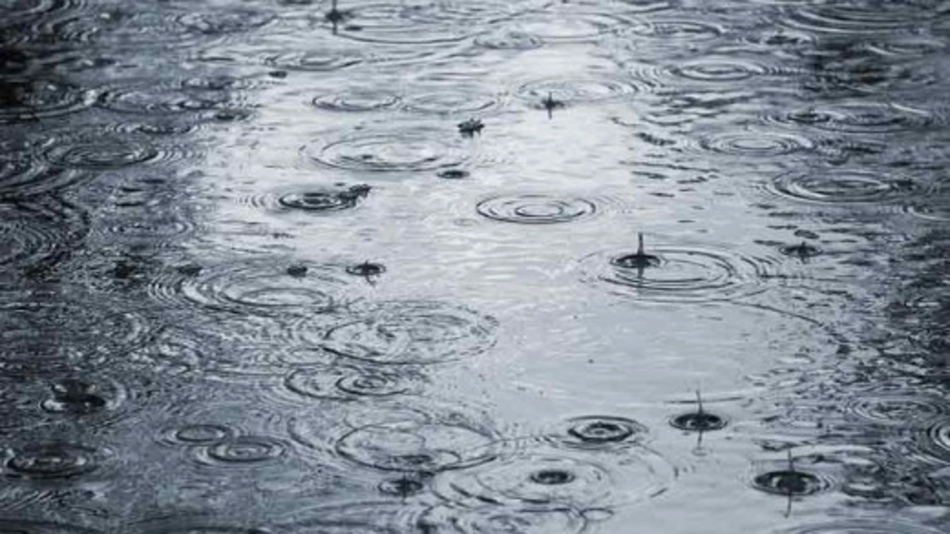 Las lluvias dejaron la semana pasada 55 litros en Ciudad Real Las lluvias dejaron la semana pasada 55 litros en Ciudad Real