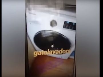 Imagen del vídeo del gato en el interior de la lavadora