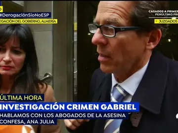 El abogado de Ana Julia Quezada no descarta que se pida prisión permanente revisable para su cliente El abogado de Ana Julia Quezada no descarta que se pida prisión permanente revisable para su cliente