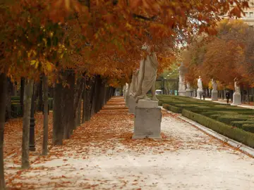 Vista del parque madrileño de El Retiro Vista del parque madrileño de El Retiro