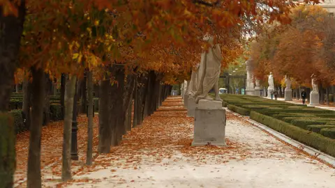 Vista del parque madrileño de El Retiro Vista del parque madrileño de El Retiro