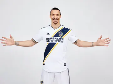 Zlatan Ibrahimovic en Los Ángeles Galaxy Zlatan Ibrahimovic en Los Ángeles Galaxy