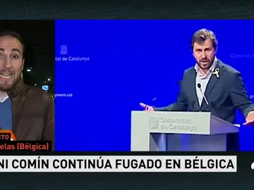 guillermo guillermo