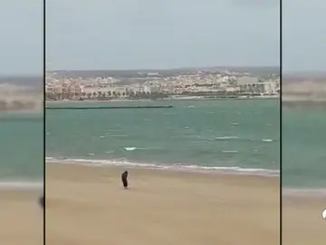 VIDEO_MELILLA VIDEO_MELILLA