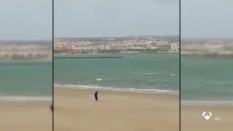 VIDEO_MELILLA VIDEO_MELILLA