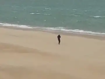 Investigan un vídeo racista grabado desde una garita de la Guardia Civil en Melilla: "Pedazo de moro, capullo" Investigan un vídeo racista grabado desde una garita de la Guardia Civil en Melilla: "Pedazo de moro, capullo"