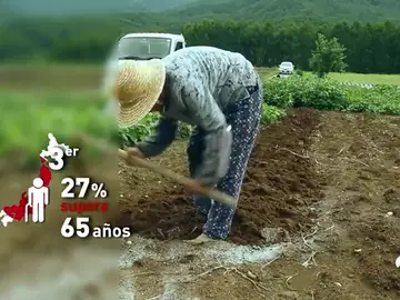 JAPONESES MAYORES JAPONESES MAYORES