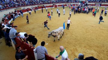 Sin incidentes en el ya tradicional Toro Embolao en Los Barrios (Cádiz)
