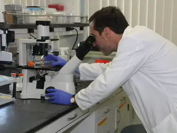 Advierten en EEUU sobre riesgos de graves hemorragias por marihuana sintética Advierten en EEUU sobre riesgos de graves hemorragias por marihuana sintética