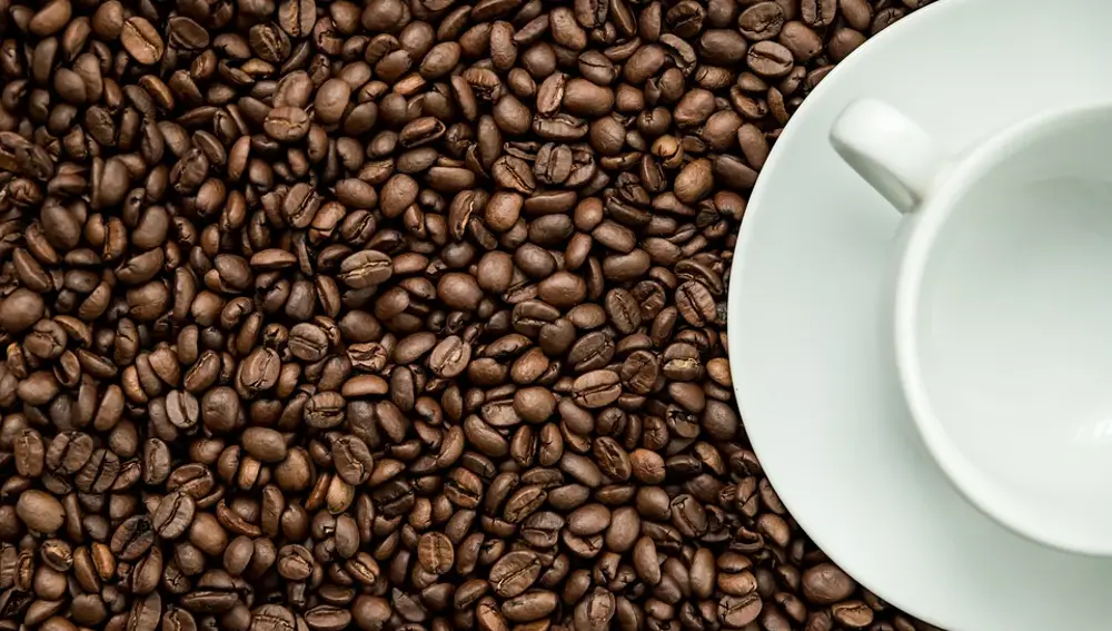 La cafeina empeora la ansiedad y el miedo a lo nuevo en el alzheimer