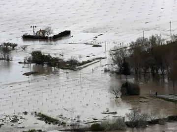 Imagen del Arga a su paso por Miranda del Arga Imagen del Arga a su paso por Miranda del Arga