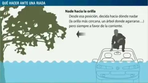 ¿Qué hacer si te sorprende una riada en el coche? Estos son los consejos de la DGT ¿Qué hacer si te sorprende una riada en el coche? Estos son los consejos de la DGT