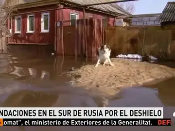 RUSIA RUSIA