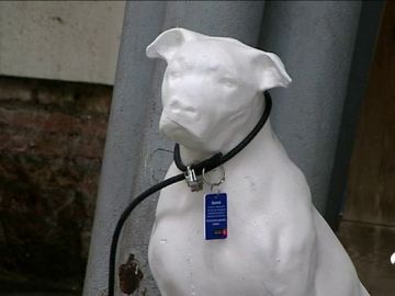 perros perros