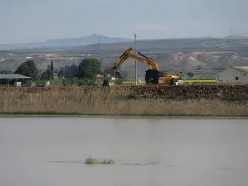 La UME refuerza las orillas en Pina de Ebro La UME refuerza las orillas en Pina de Ebro
