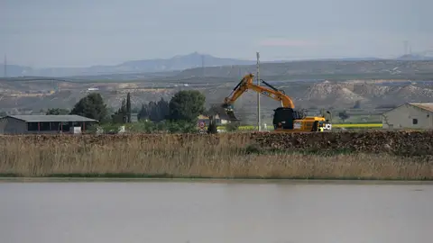 La UME refuerza las orillas en Pina de Ebro La UME refuerza las orillas en Pina de Ebro